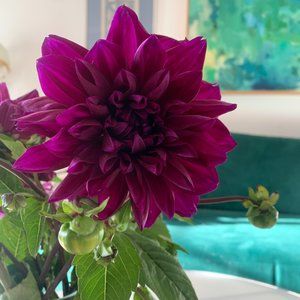 Offers welcome!  Everything with a 🌺 can be bundled for super saving!